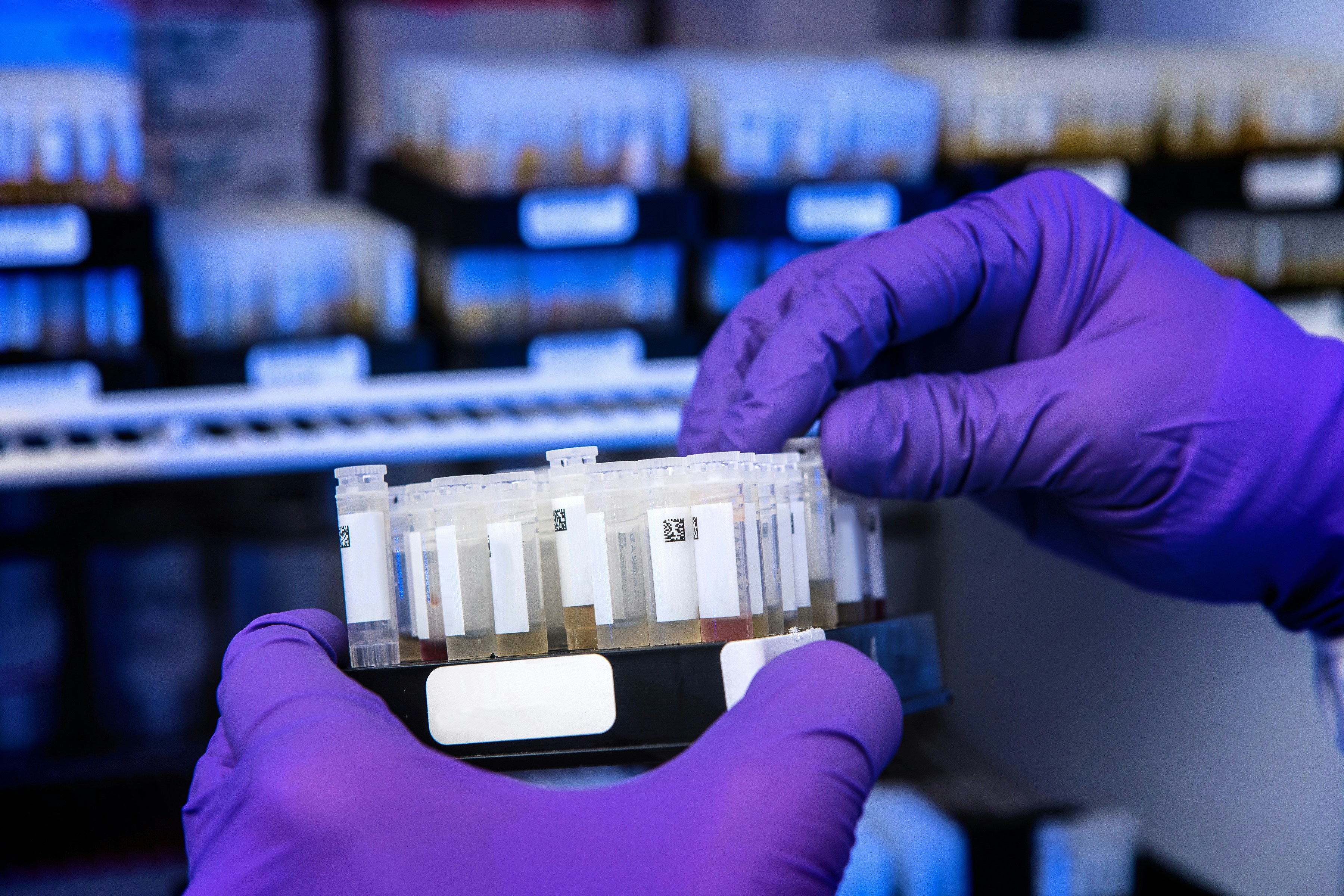 Scientist working in a regulated laboratory environment