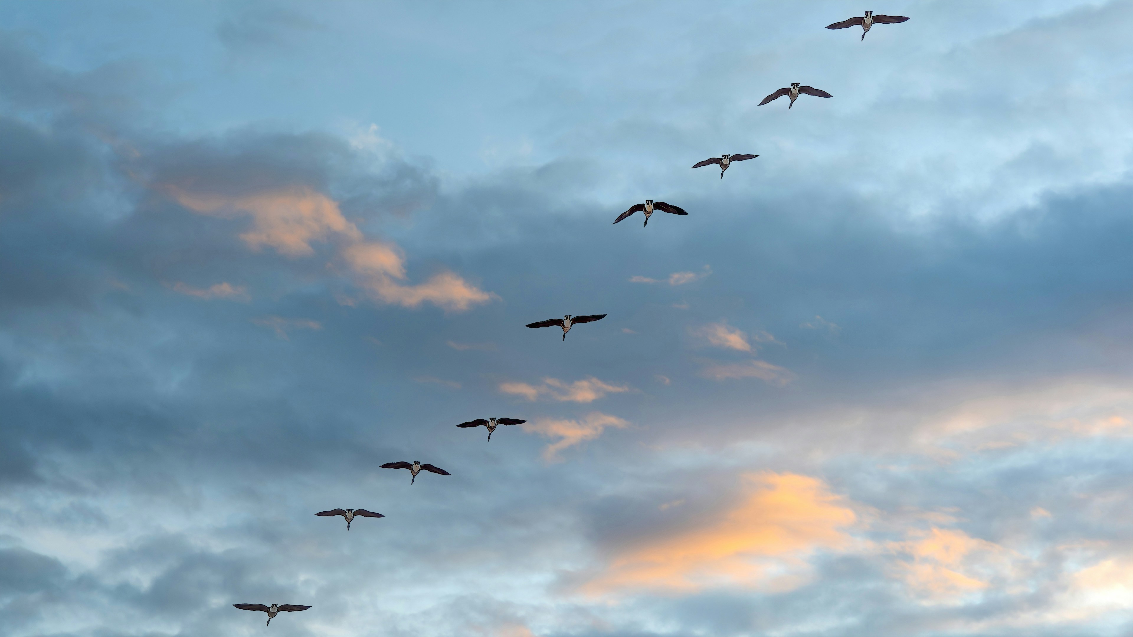Cloud Migration