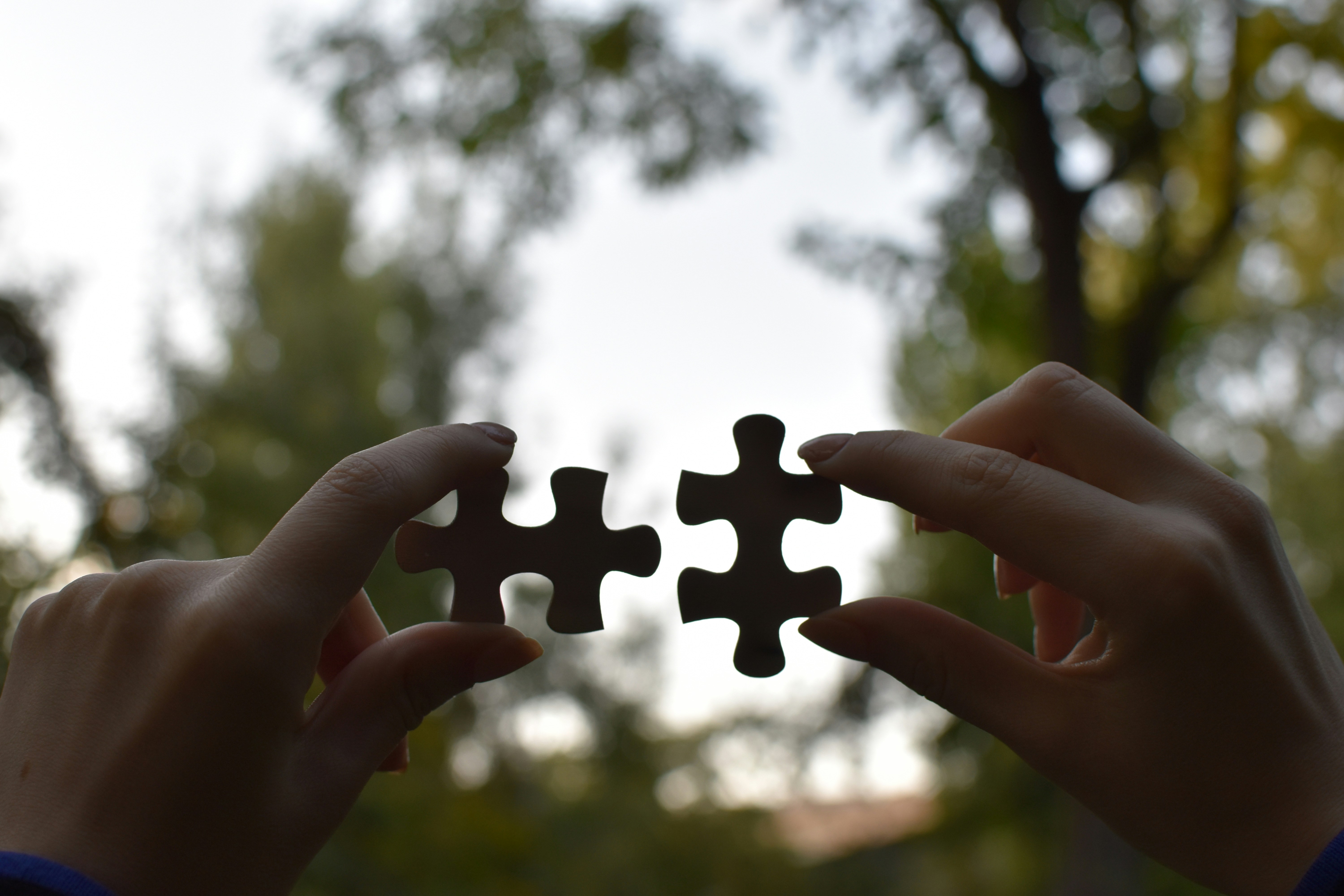 Systems Integration